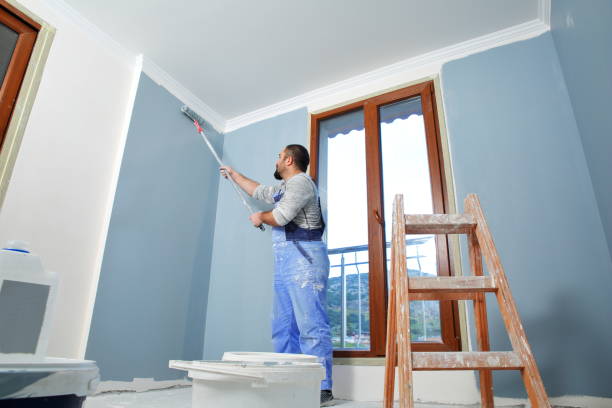 Mold Odor Removal Services in Garden Plain, KS