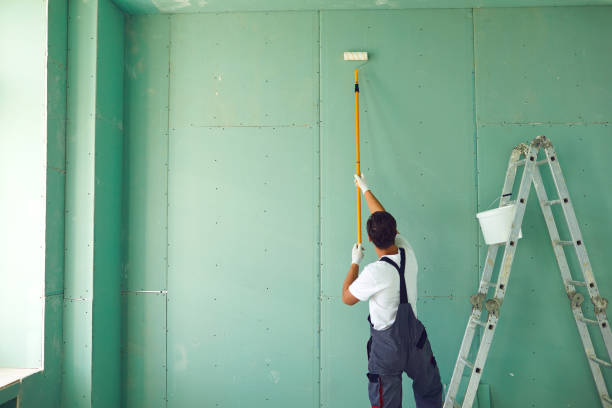 Best Basement Mold Removal  in Garden Plain, KS