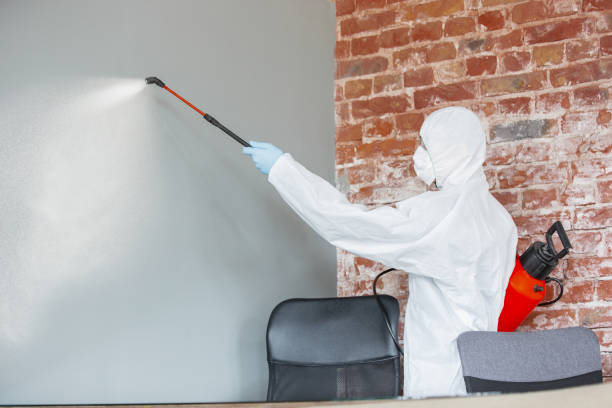 Best Air Quality Testing for Mold Spores  in Garden Plain, KS
