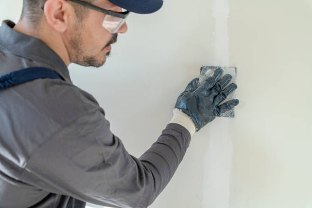 Best Emergency Mold Remediation  in Garden Plain, KS