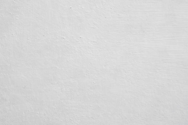 Best Mold Remediation for Healthcare Facilities  in Garden Plain, KS
