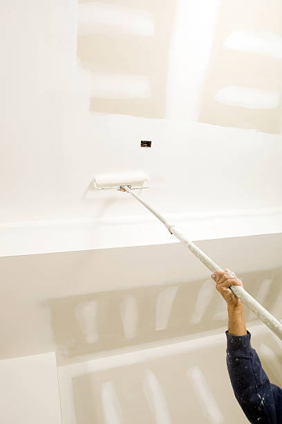 Best Industrial Mold Remediation  in Garden Plain, KS