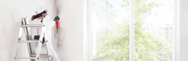 Best Mold Damage Restoration  in Garden Plain, KS