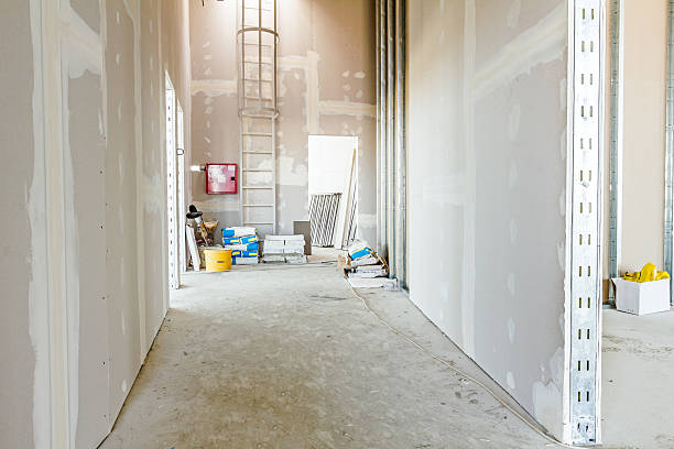 Reliable Garden Plain, KS Mold Removal Solutions
