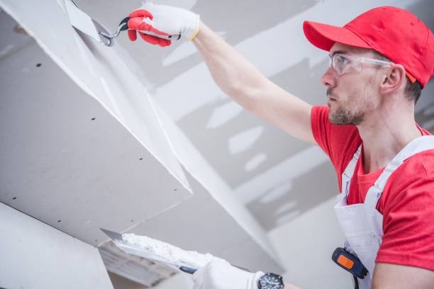 Best Water Damage & Mold Remediation  in Garden Plain, KS