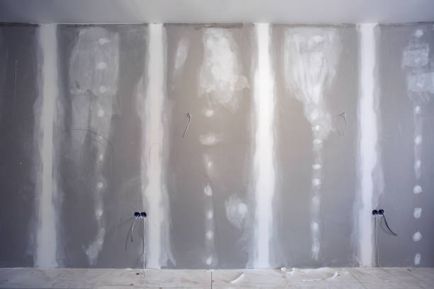 Best Post-Construction Mold Inspection  in Garden Plain, KS